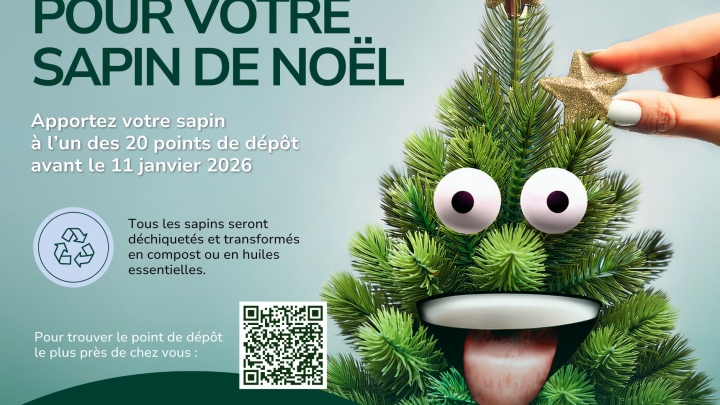 Dépôt des sapins